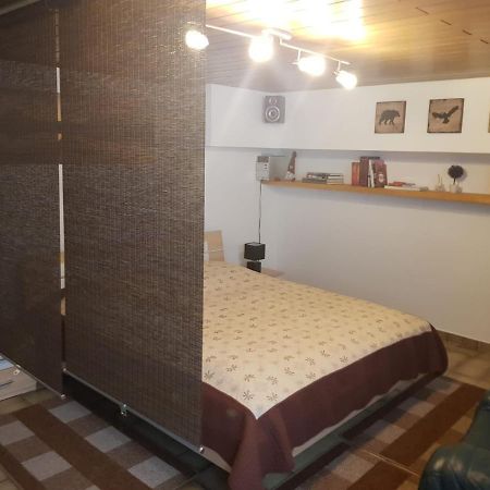Gemuetliche Ferienwohnung Mit Kamin Und Sauna! Nistertal 外观 照片