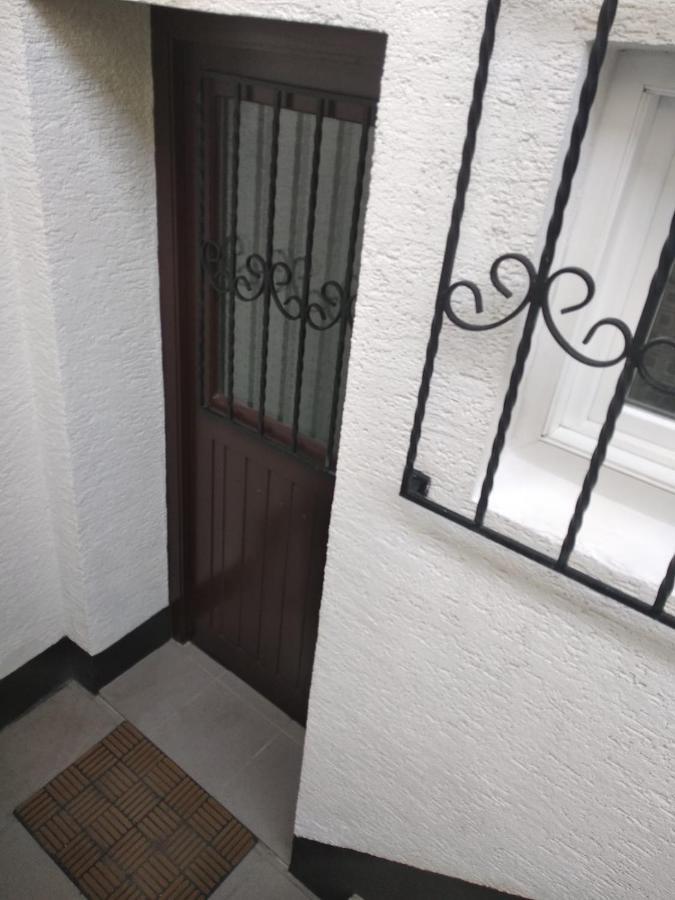 Gemuetliche Ferienwohnung Mit Kamin Und Sauna! Nistertal 外观 照片