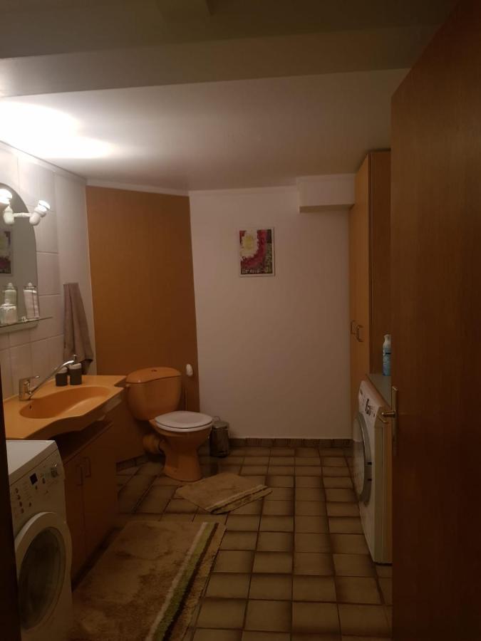 Gemuetliche Ferienwohnung Mit Kamin Und Sauna! Nistertal 外观 照片