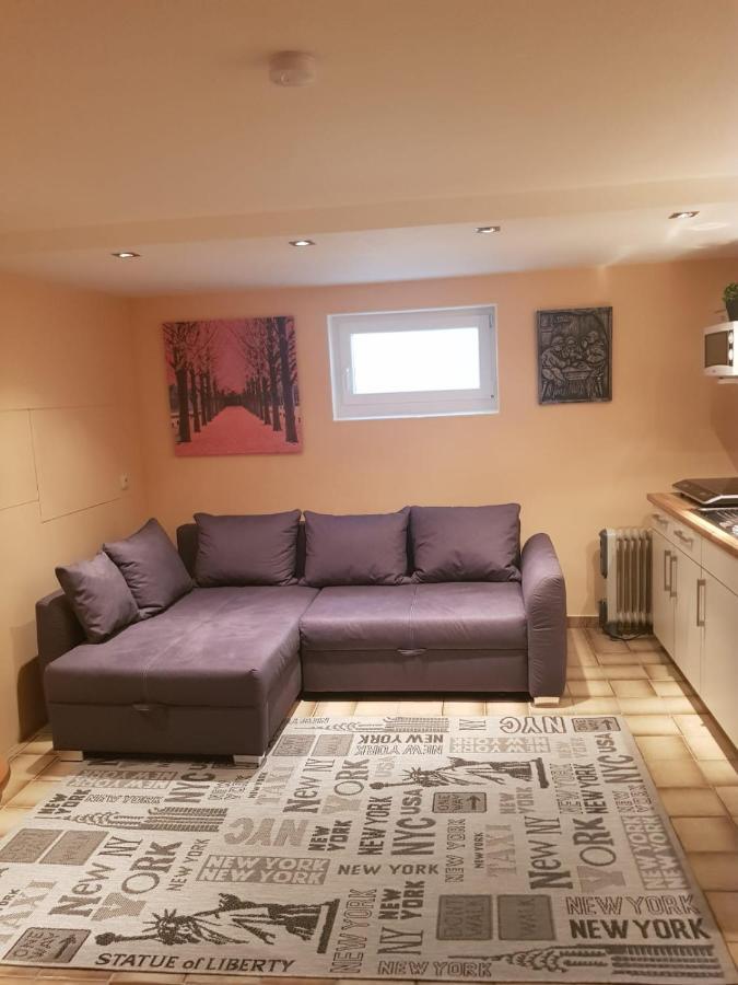 Gemuetliche Ferienwohnung Mit Kamin Und Sauna! Nistertal 外观 照片