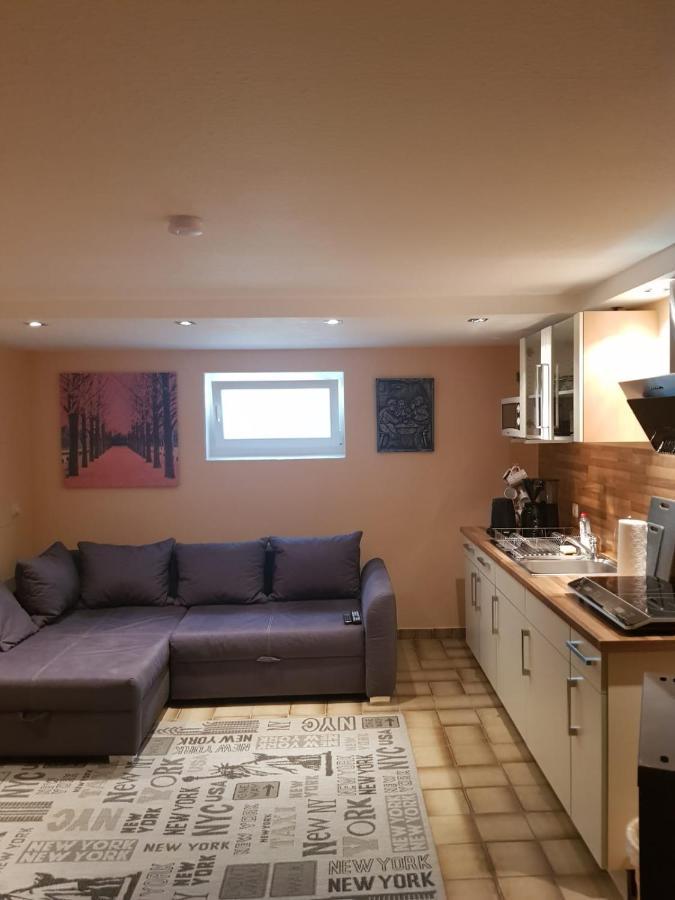 Gemuetliche Ferienwohnung Mit Kamin Und Sauna! Nistertal 外观 照片