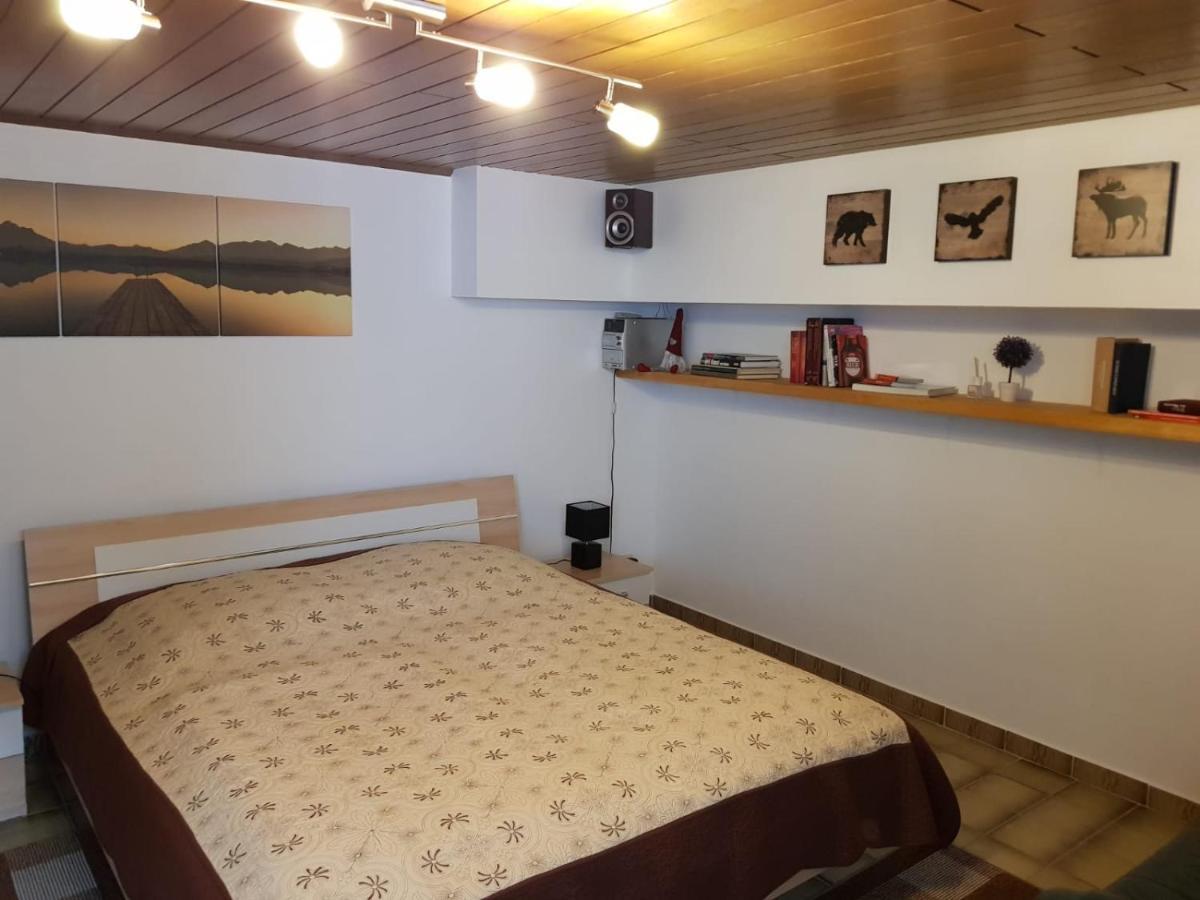 Gemuetliche Ferienwohnung Mit Kamin Und Sauna! Nistertal 外观 照片